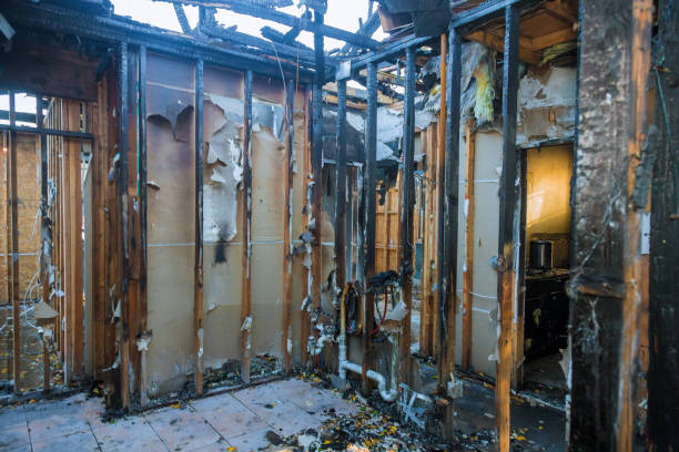 Professional Soot Cleanup technician working in Leo-Cedarville, IN